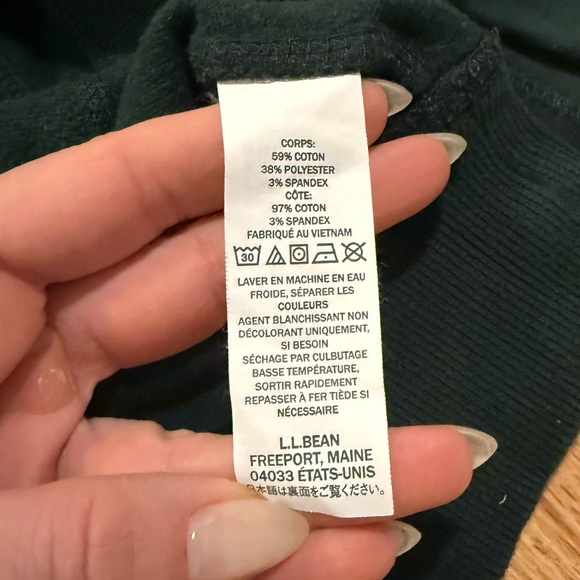 L.L. Bean Men's Hooded Graphic Sweatshirt in Green - Picture 11 of 11